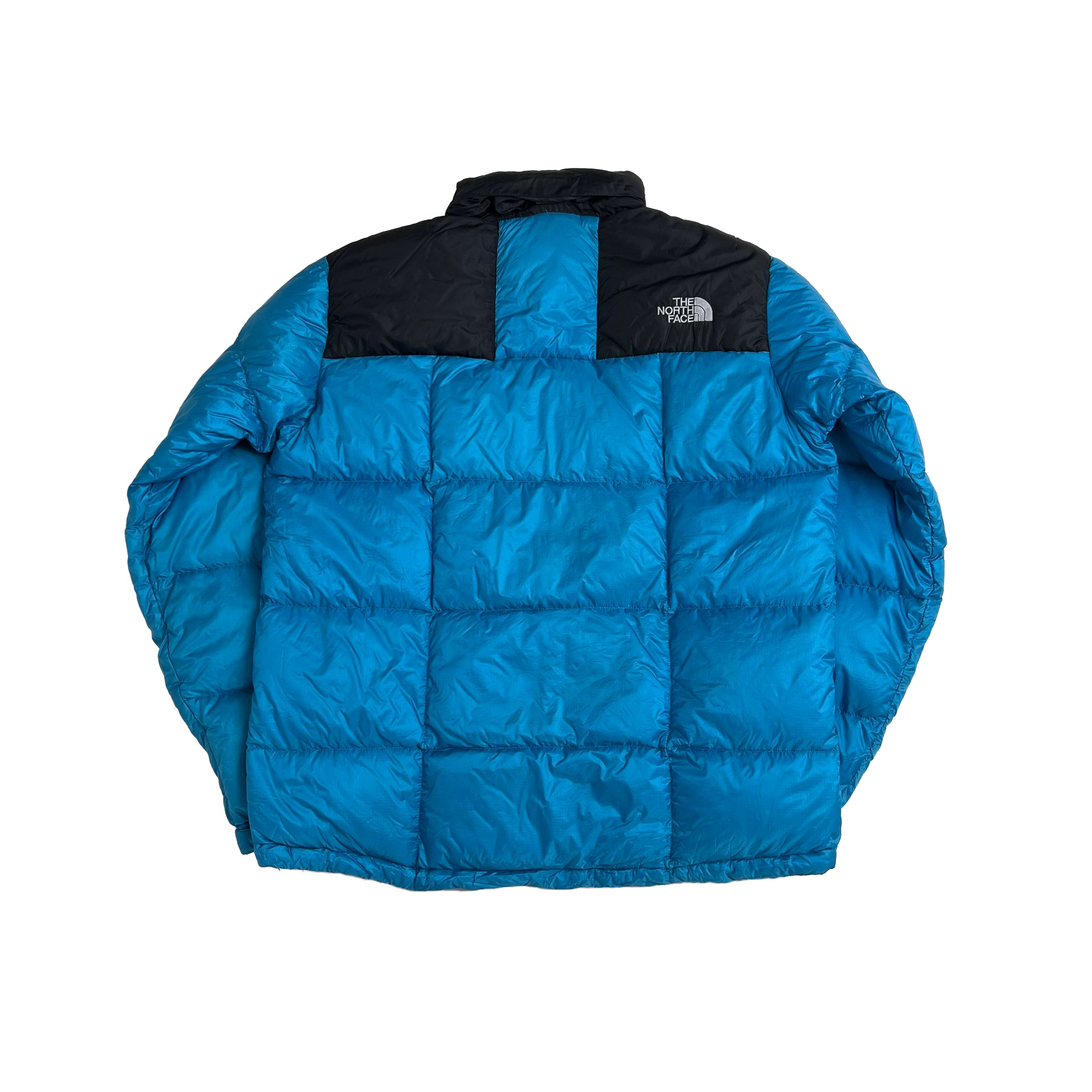The North Face Summit Series 800 puffer
